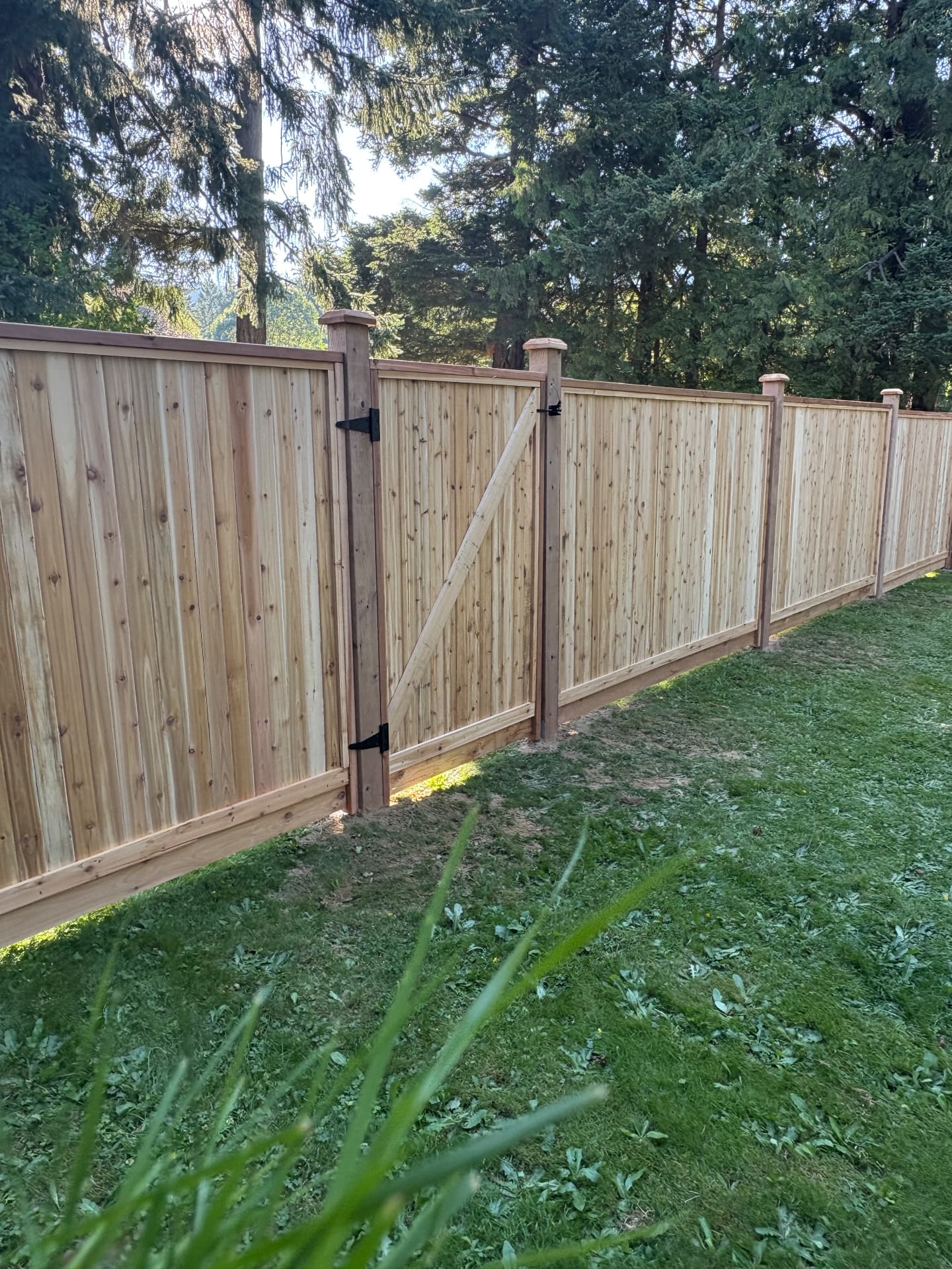 Cedar privacy fence with a braced matching gate running along a grass backyard