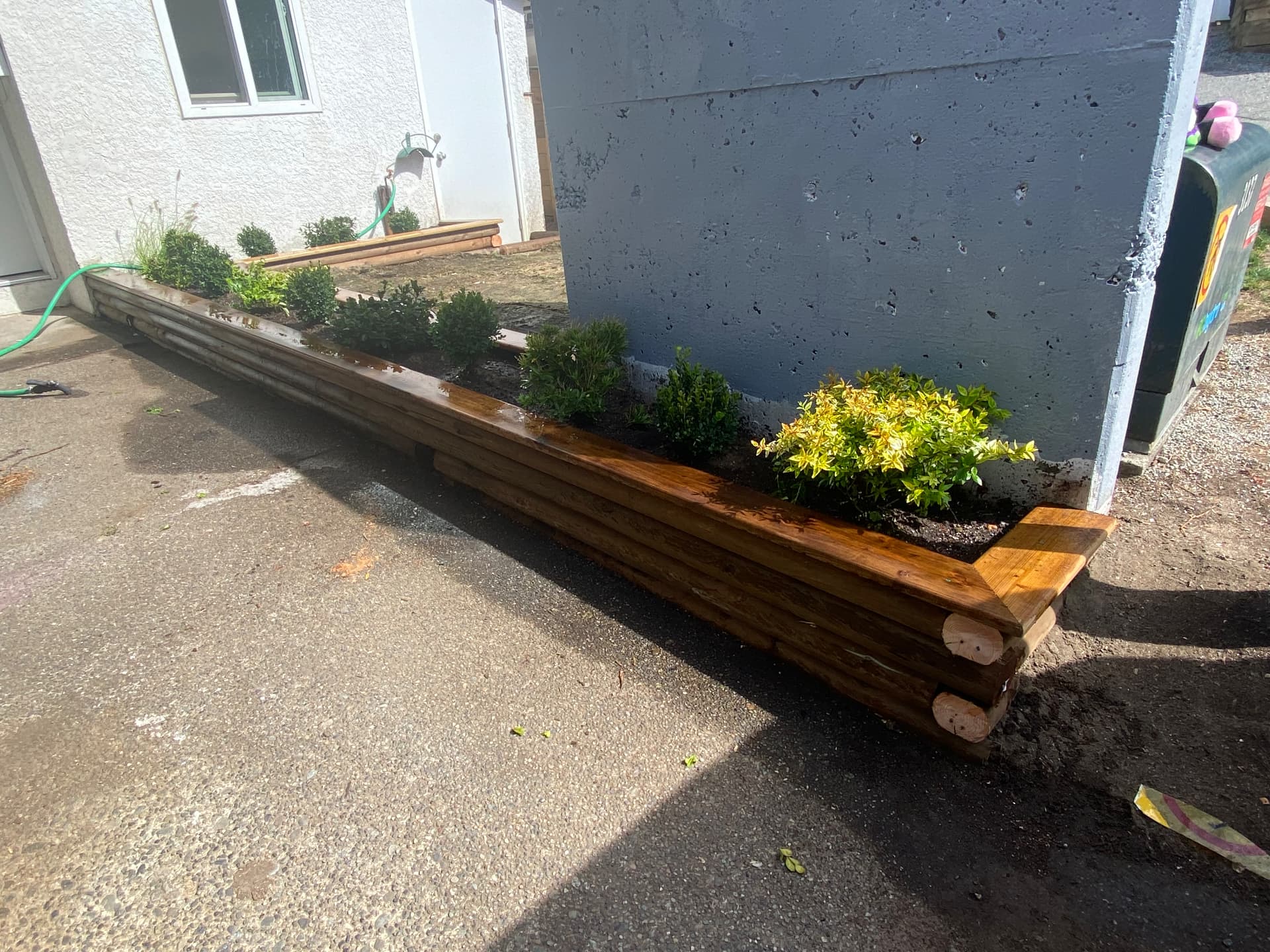 Stained timber log planter bed filled with soil and new shrubs along a building wall