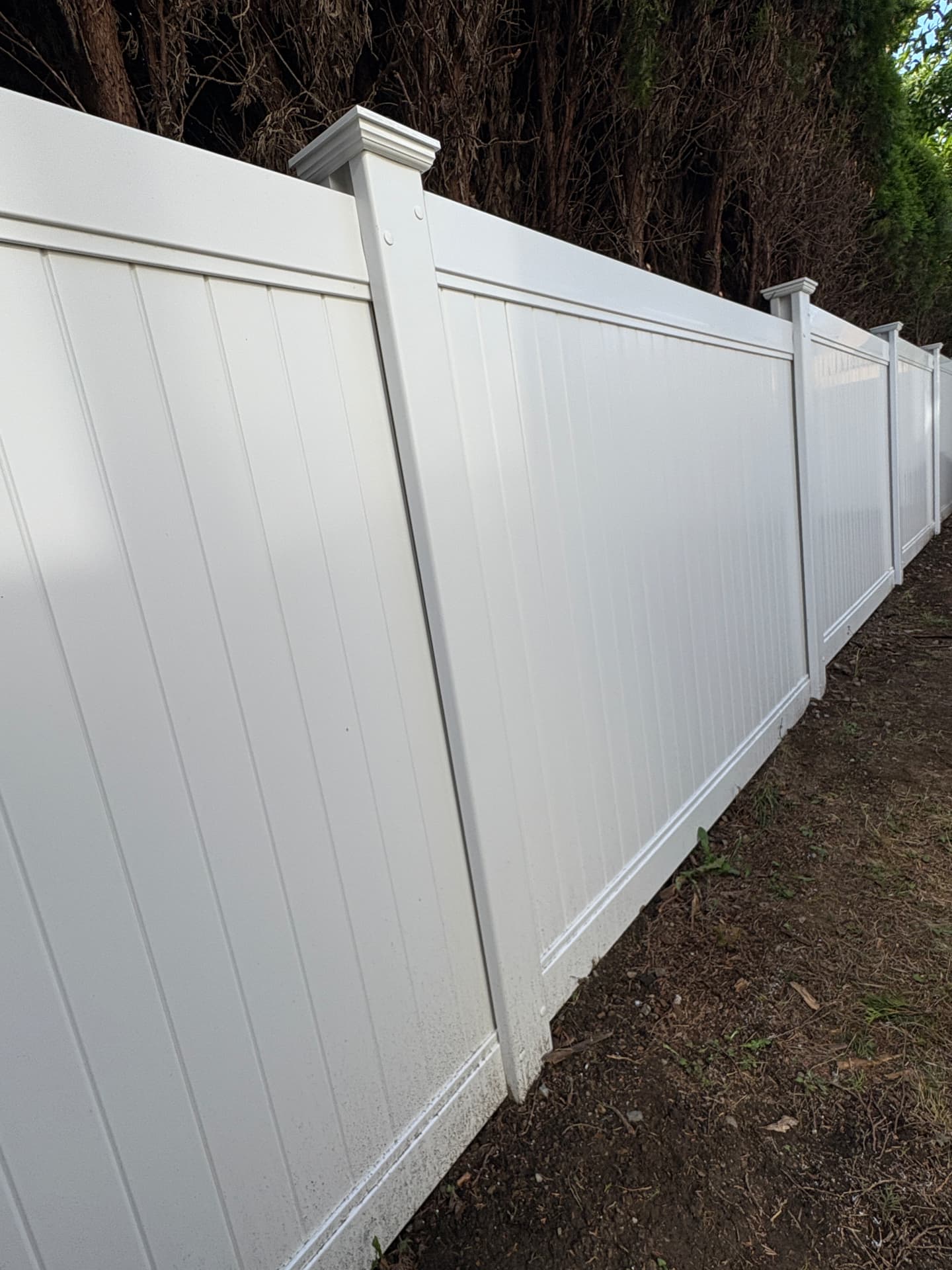 White vinyl privacy fence panels with decorative post caps along a treed property line