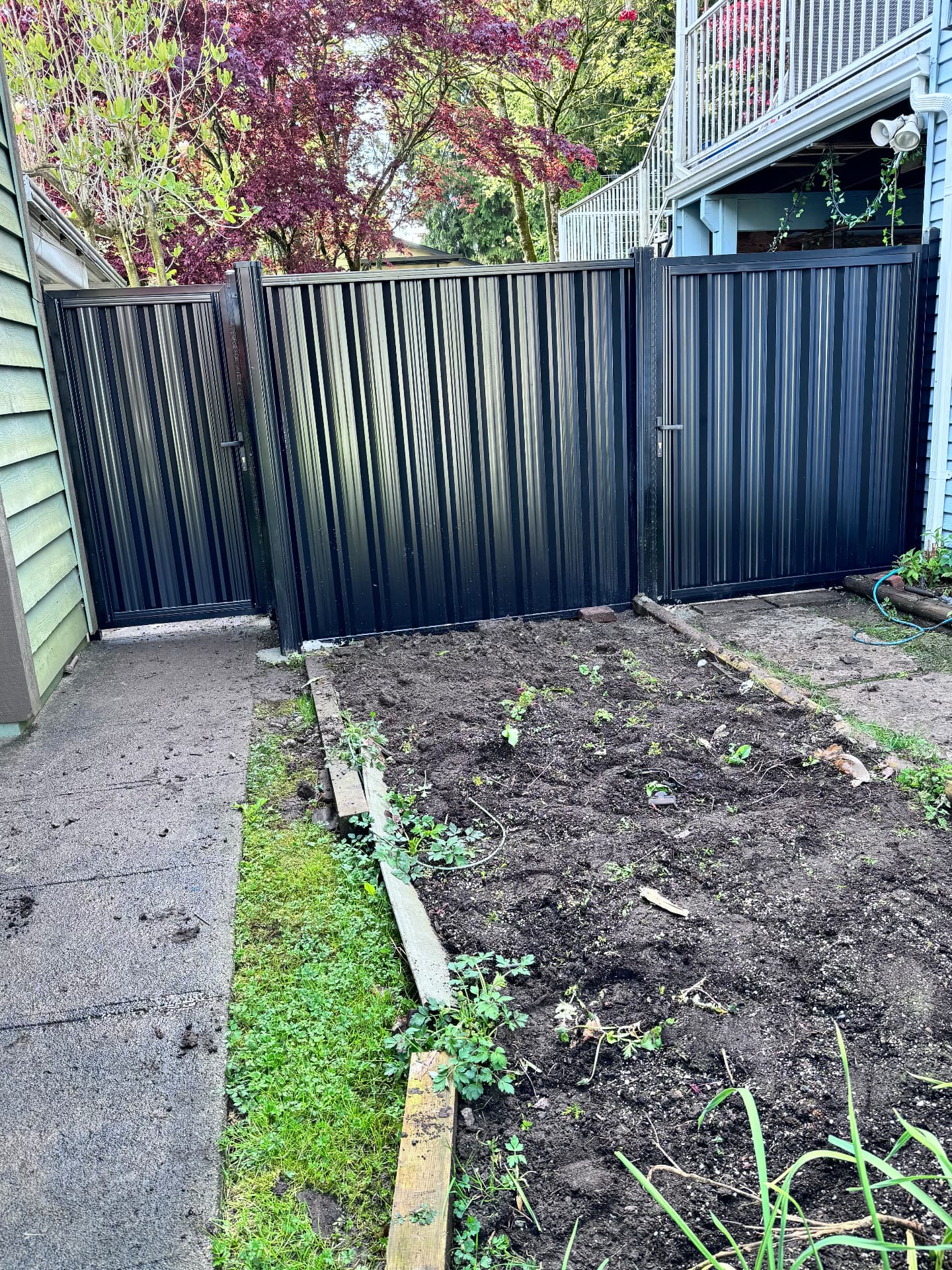 Black corrugated metal double gate and privacy panels enclosing a back garden