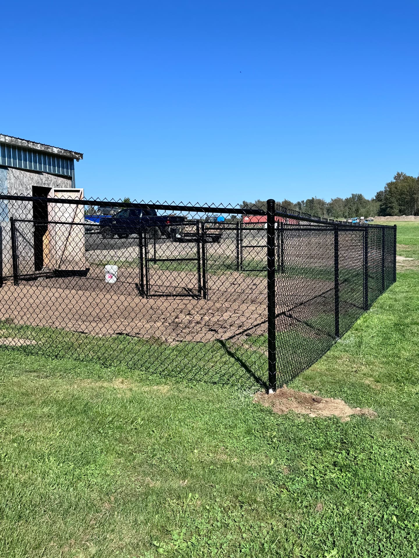 Black vinyl-coated chain link fence enclosing a large grass and gravel yard with gates