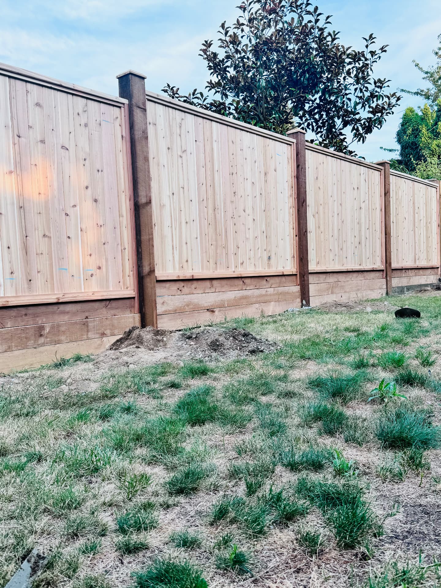 Cedar privacy fence panels with dark stained posts along a backyard lawn