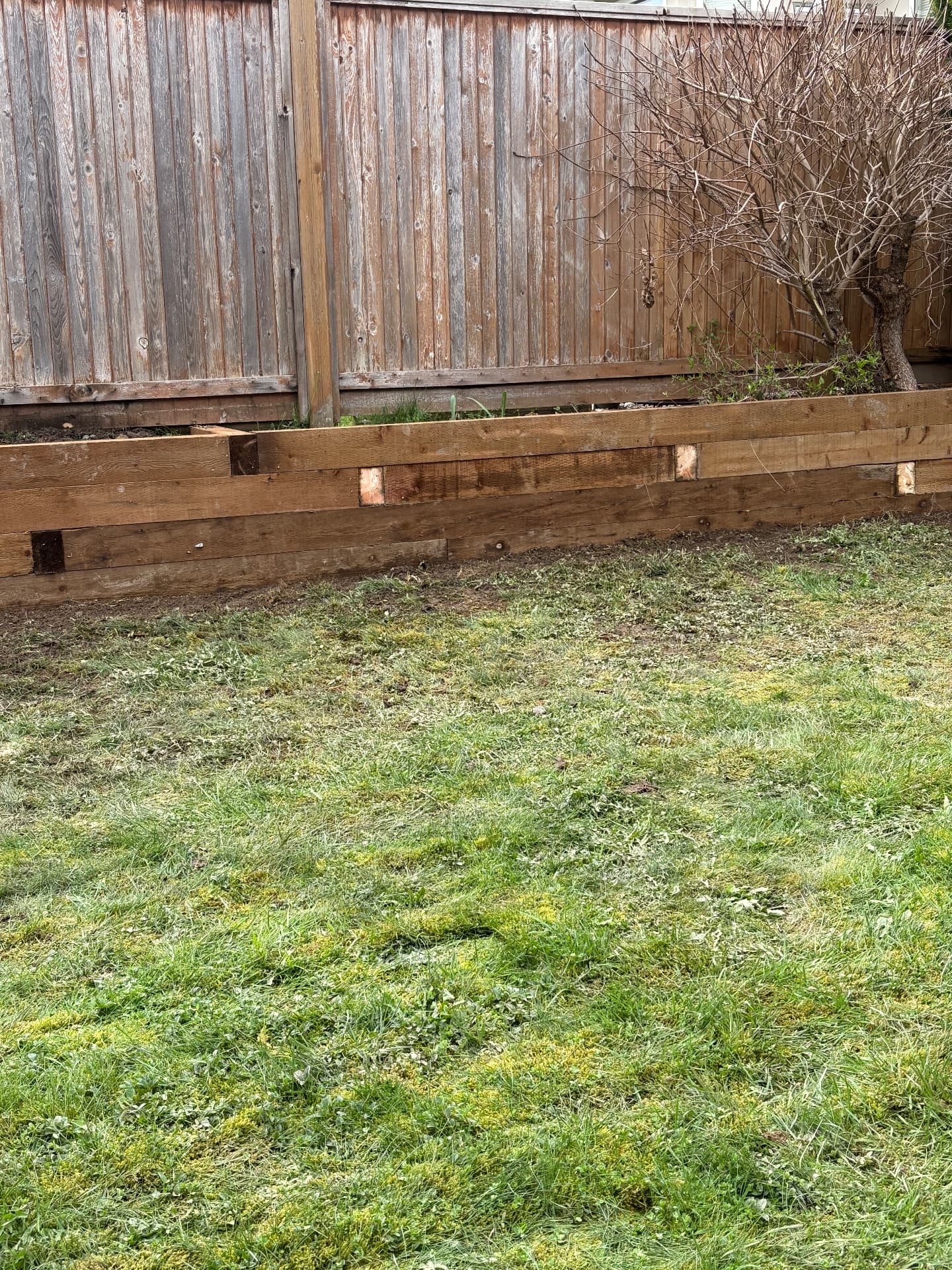 Low timber retaining wall built along a garden bed behind a backyard fence