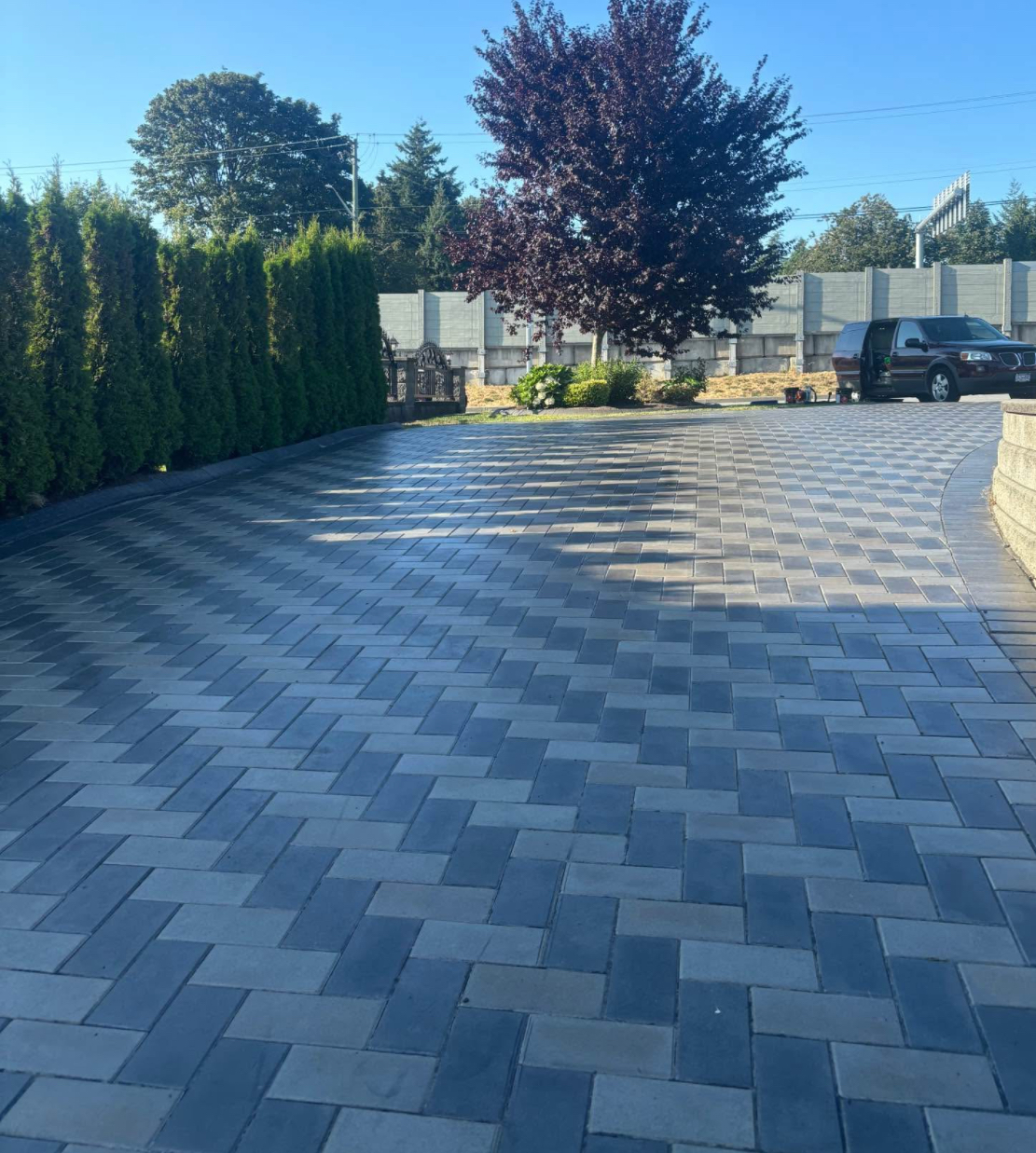 Wide grey herringbone paving stone driveway lined with cedar hedging