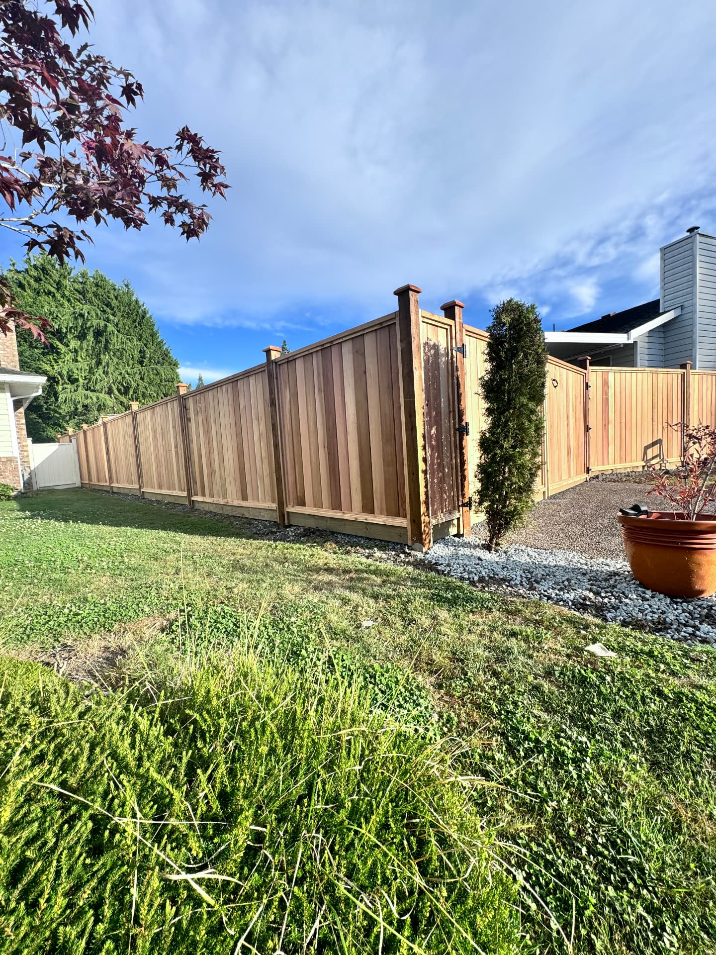 Cedar privacy fence with matching gates around a backyard