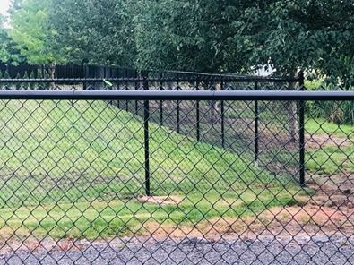 Black vinyl coated chain link fence around a green property