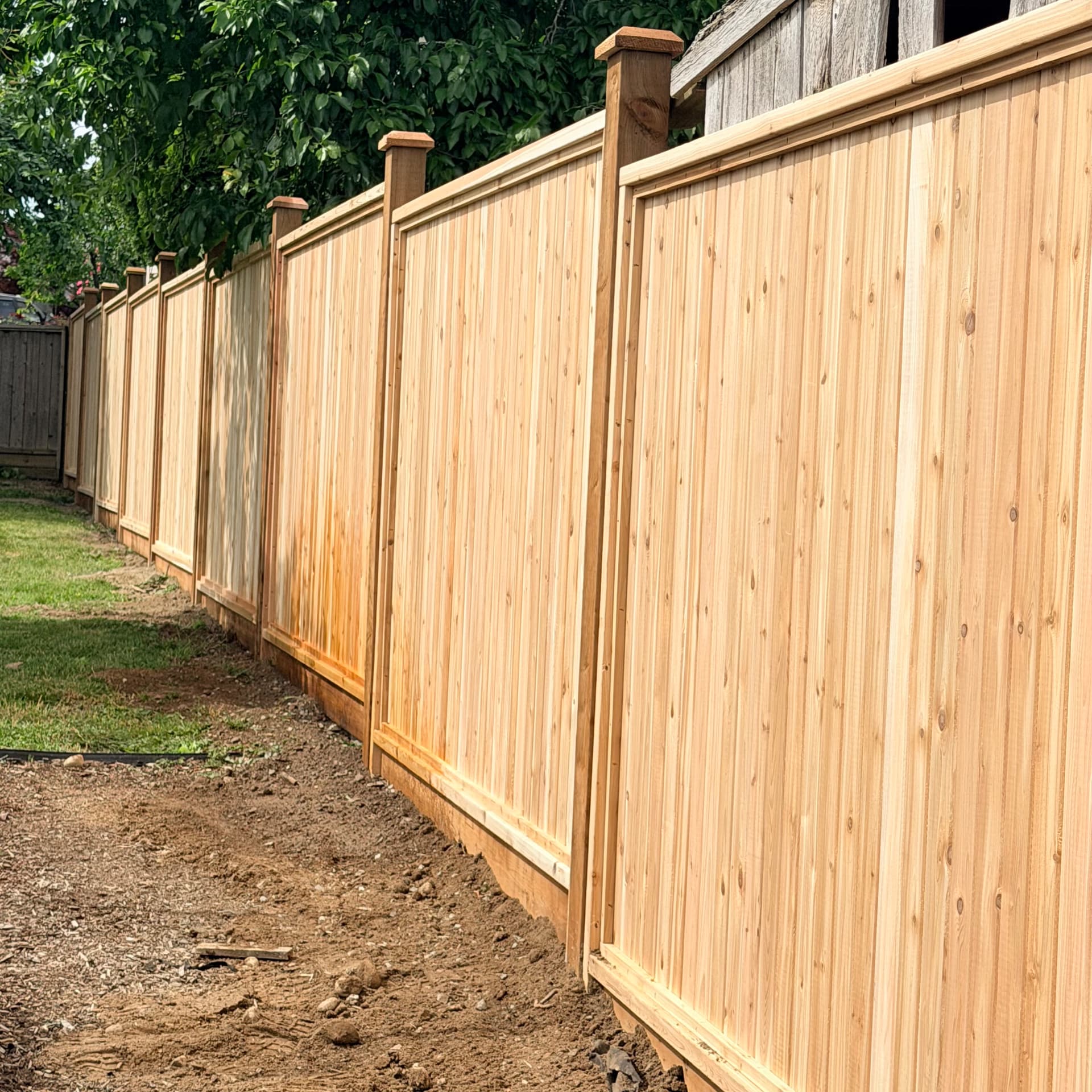 Tall cedar privacy fence panels with capped posts along a backyard lawn